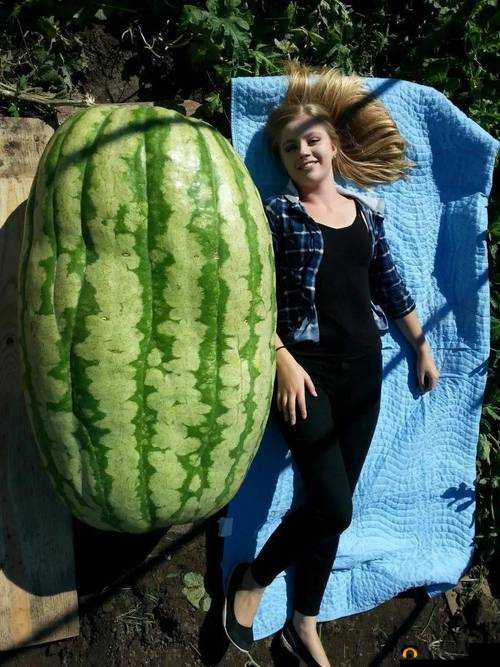 51cg 今日吃瓜热门大瓜 top：最新、最热、最劲爆的娱乐资讯