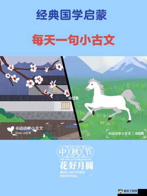 她开始慢迎迎合古文，这是为何？