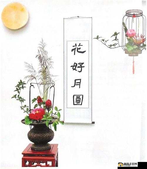 双阳插花芯的独特魅力呈现