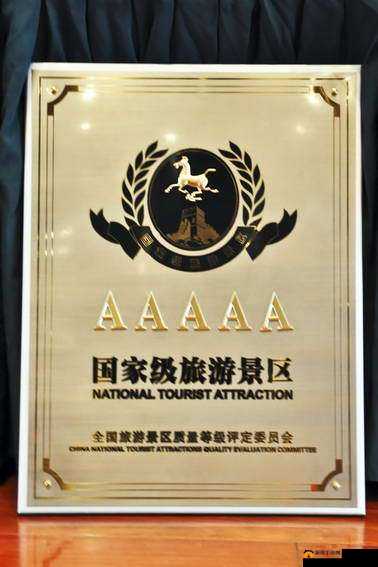 AAAAA 级别之重要特性