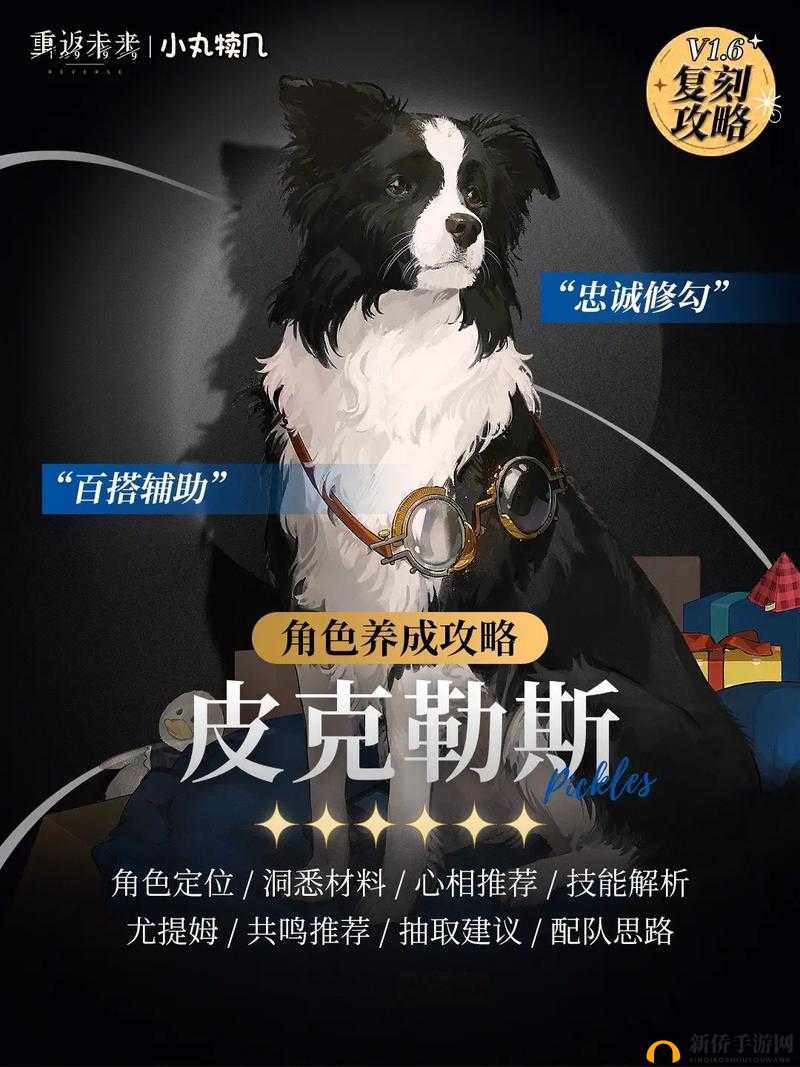 重返皮克勒斯技能的未来探索与解析