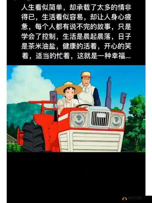都市色色网：揭秘成人世界的情感故事