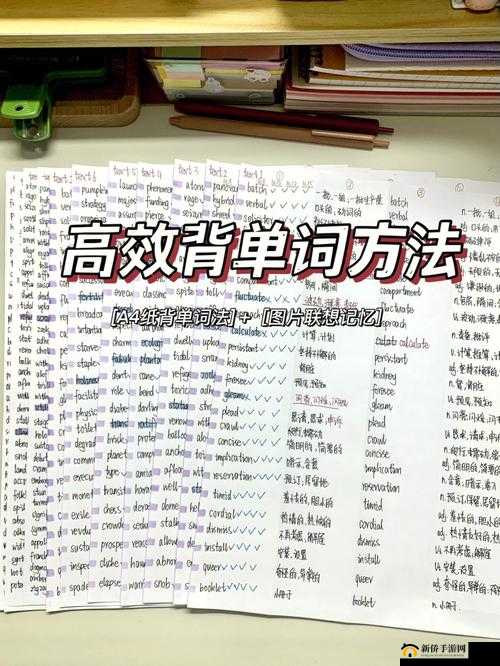 学霸的棍子上：高效背单词的独特方法