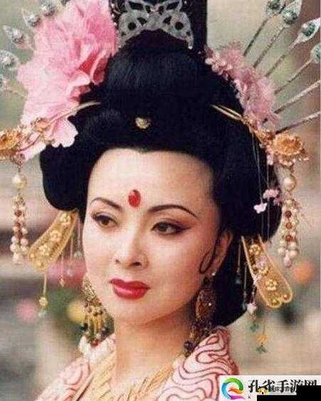 丰裕纵满杨玉环 2588 演员表揭示了什么：信息量巨大