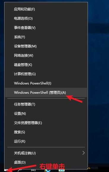 VPSWINDOWS 另类极品，超多线路任你选