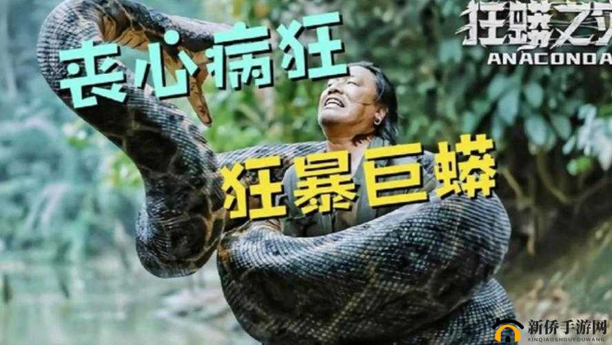 被蛇吓到崩溃：一场惊悚遭遇