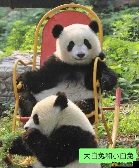 老公说看我大白兔，我该如何回应