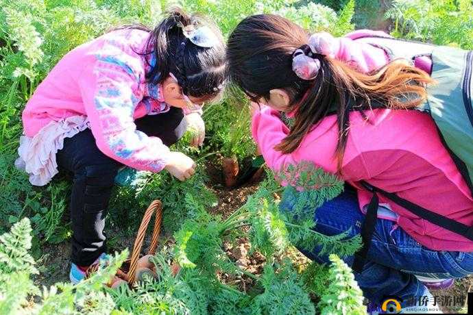 女孩子如何体验拔萝卜的别样感觉