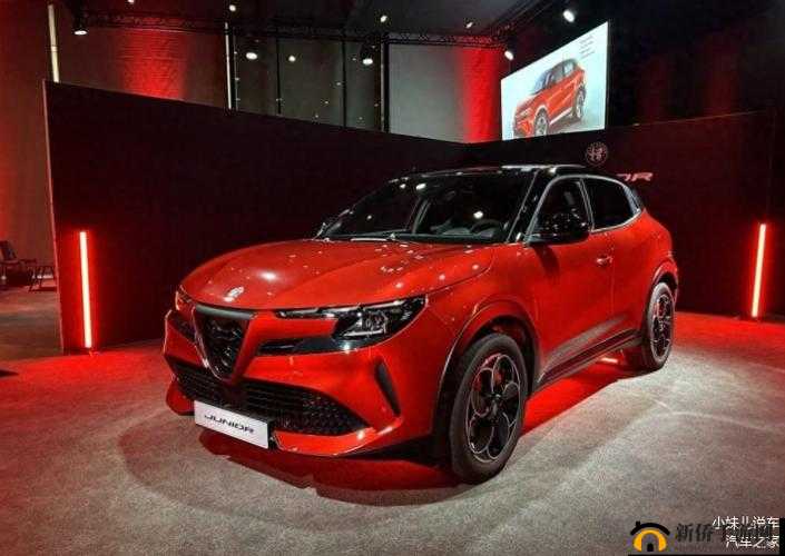欧洲无人区码 SUV：独特的汽车魅力
