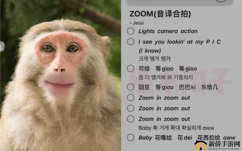 ZOOM 动物：神奇的自然伙伴