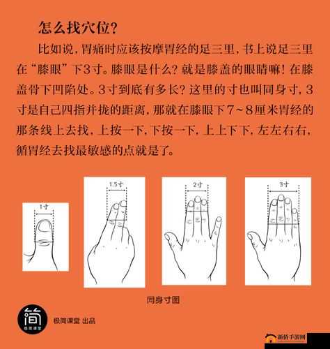 新手找不到入口准确位置怎么办