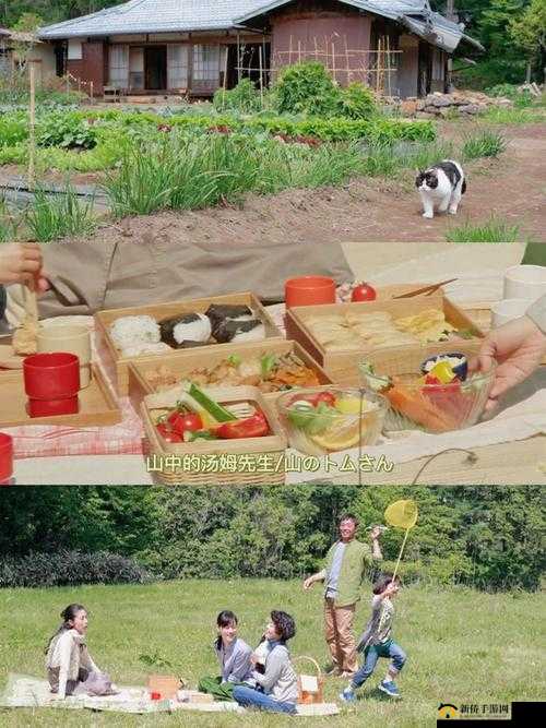 日本电影三叶草的春天：深度解读