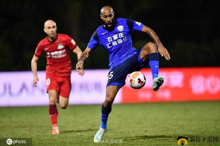 兽王ZOOMSERVO 兽狗产品优势：卓越品质引领市场