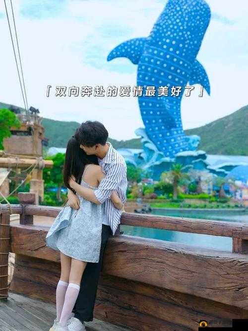 解密约会世界：探寻其中奥秘