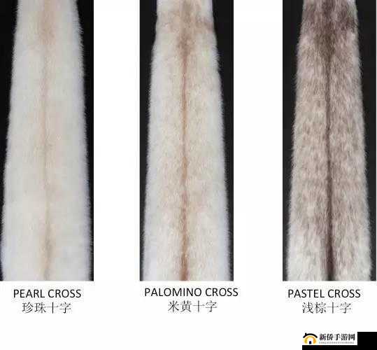 AAAA 级毛皮是否为正规品牌？