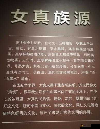 AAAA 级二级与 AA 级的差异详解-全面剖析