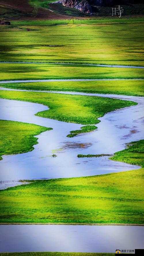 青青草原国产：独特的魅力展现