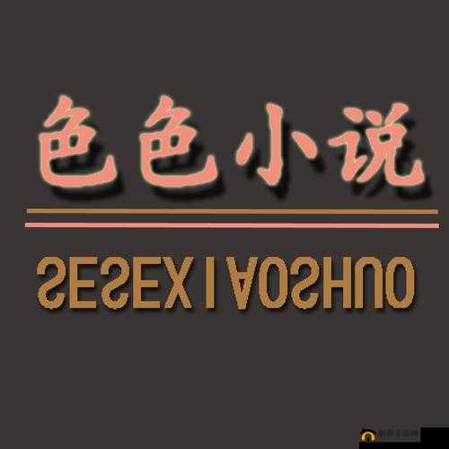 都市色色网：探寻都市别样精彩