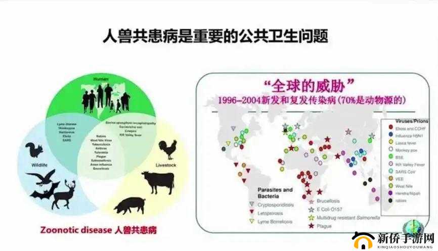 畜禽与人的和谐共生之道