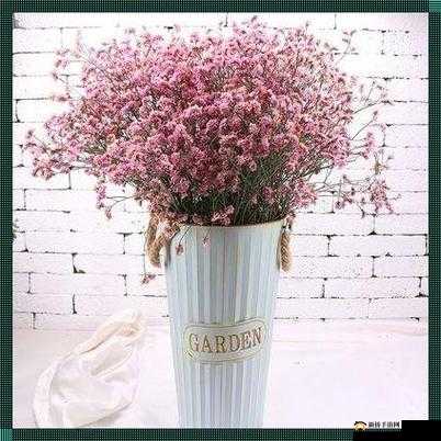 私人航空 2 满天星：开启奢华之旅