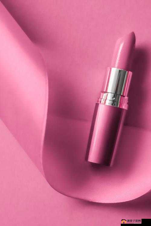 YSL 热门蜜桃色 88-魅力难挡的时尚唇色