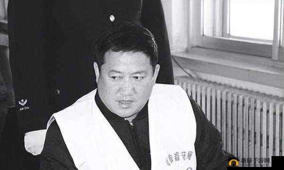 伊犁园 20243 秒转入被黑科技成：一场科技与时间的较量