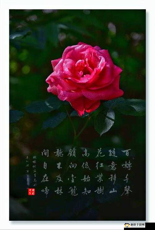 亭亭玉立国色天香四月天科普：美丽四月天的独特魅力