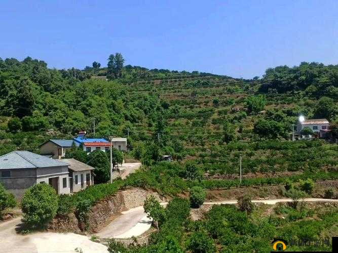 完整性疼痛小坳交 HD：解锁全新性体验