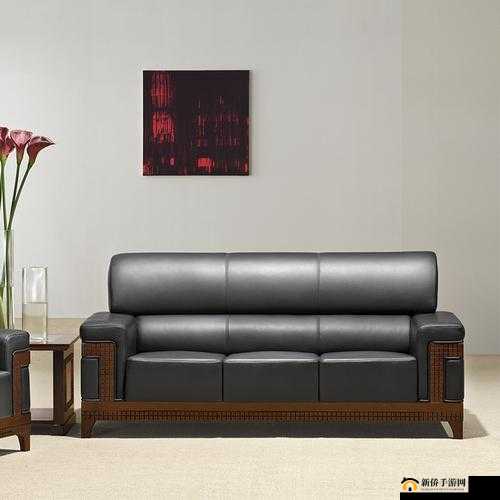 国产办公室沙发系列高清：品质与舒适之选