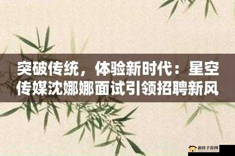 星空传媒沈娜娜面试功能介绍及相关内容