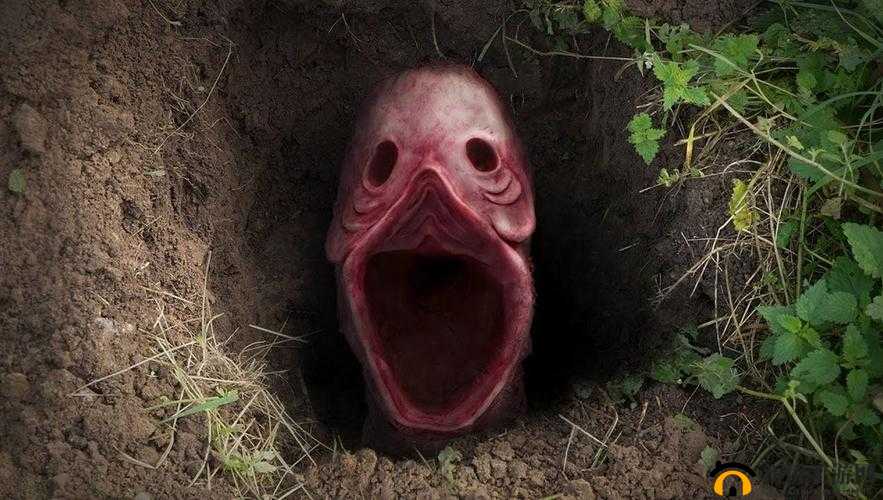 1313 国产精品午夜理论片：满足你深夜猎奇心