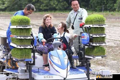 外国情侣插秧方法：独特的农田浪漫之旅