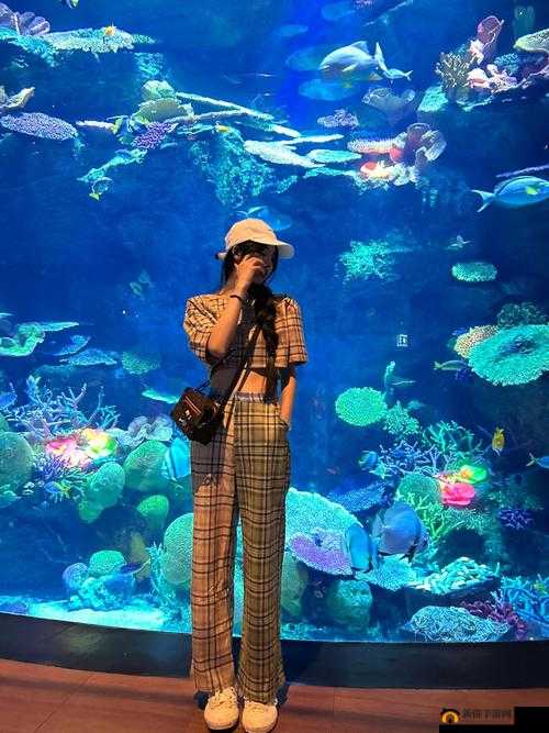 百丽宫幼童视频相关内容探讨