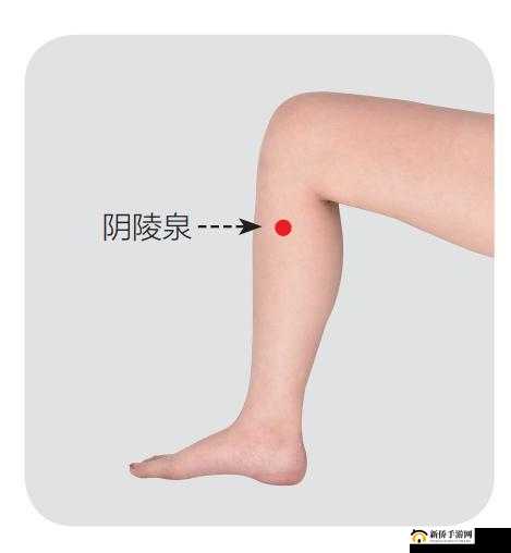 阴免费看：相关内容介绍