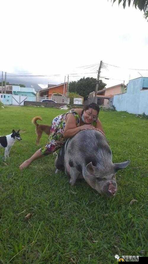 人与猪猪：一段特殊的友谊