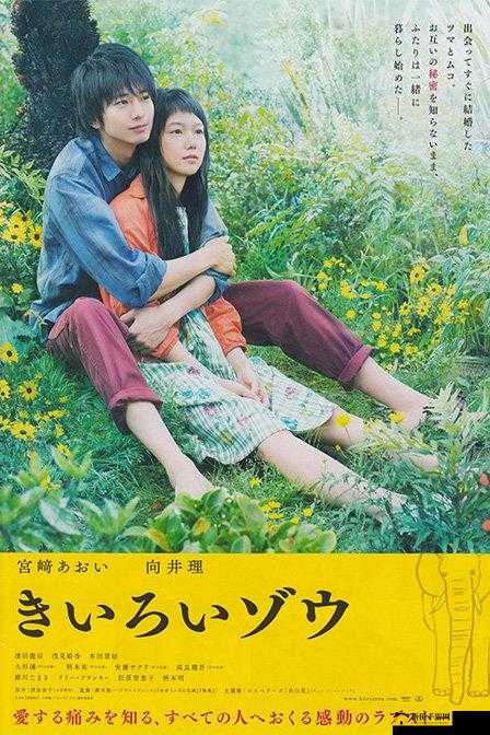 可以免费观看的电影网日本韩国视频：高清无码免费畅享