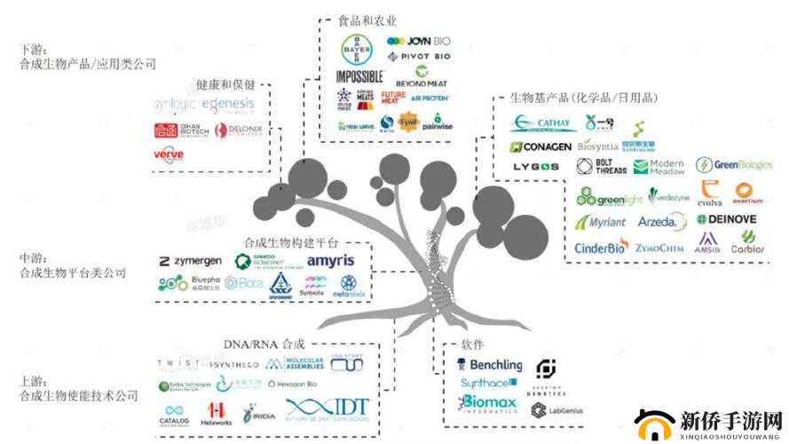 《2022年猫之城极品基因合成公式大全：最新基因合成技术解析与策略》