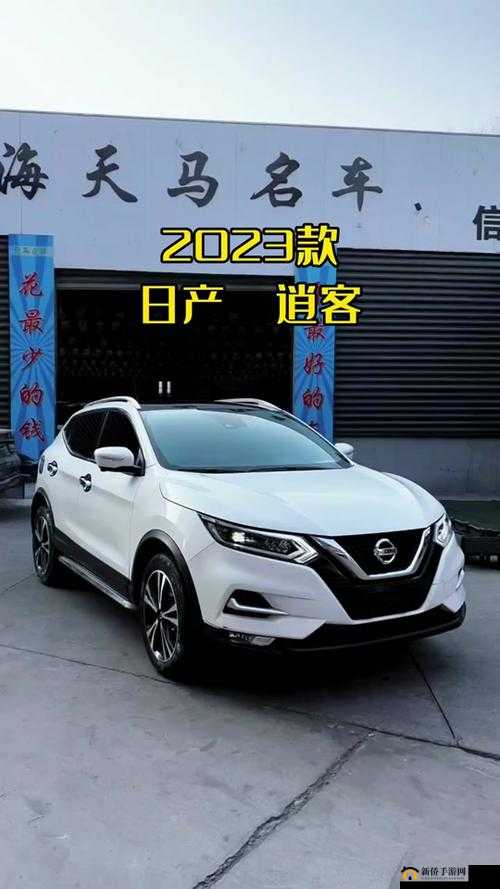 2024 国产日产欧产精品无需注册登录畅享