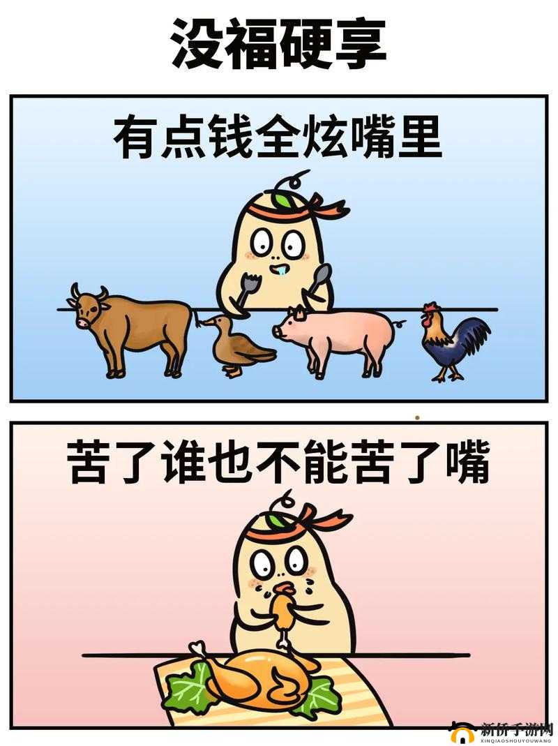 免费进入哔哩哔哩的好处：丰富资源等你享