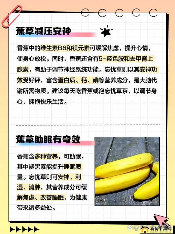 香蕉和忘忧草的区别