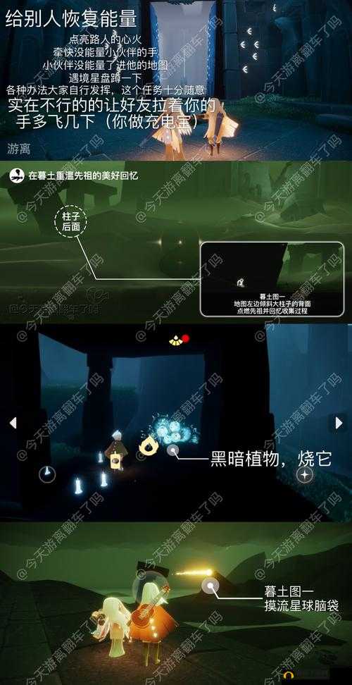 光遇11月11日每日任务攻略2022