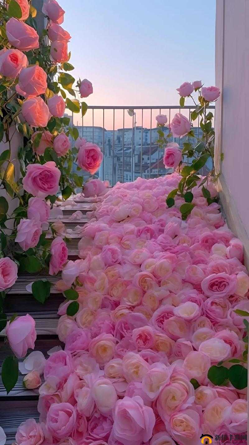 ：在花的见证下，两人的浪漫之约