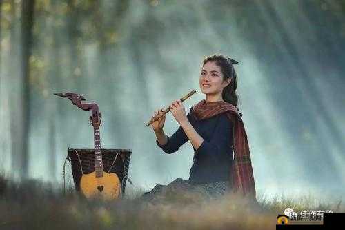 顶级人文艺术：璀璨文明的魅力展现