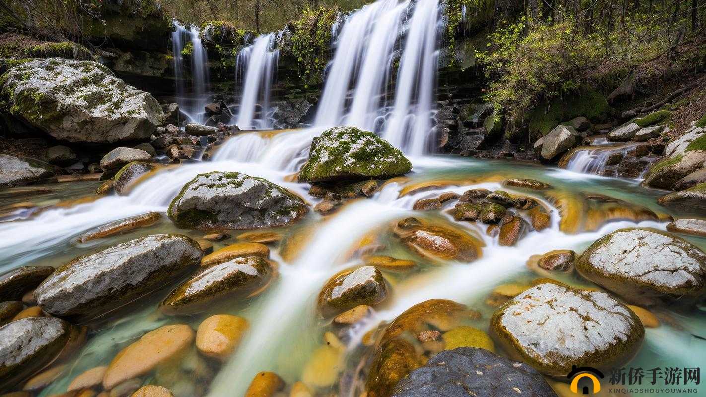 大地资源高清在线观看免费：带你领略自然之美