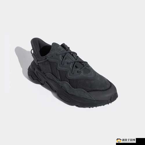 三叶草 gy4656 的奇妙冒险