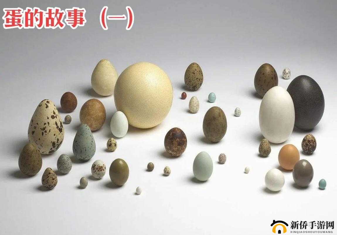 呆哥与兰兰手机在线的奇妙故事