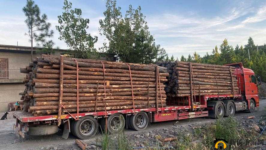 小舞搡 BBBB 搡 BBBB：到底发生了什么