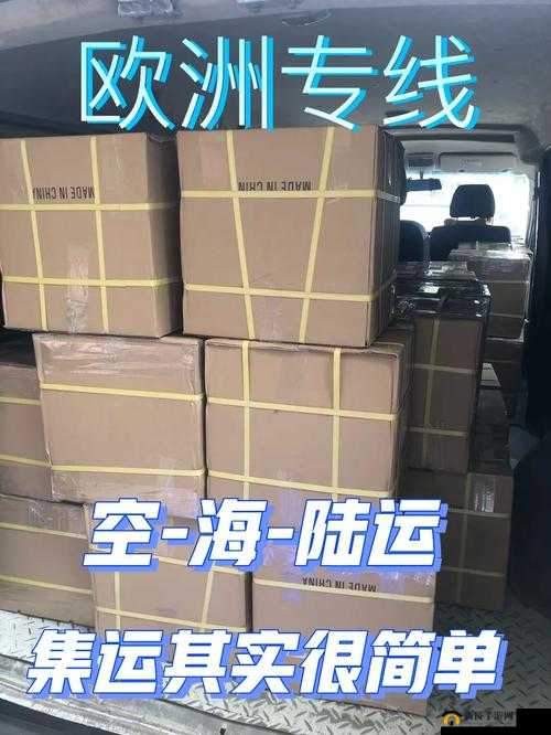 欧洲尺码专线：专业高效的物流选择