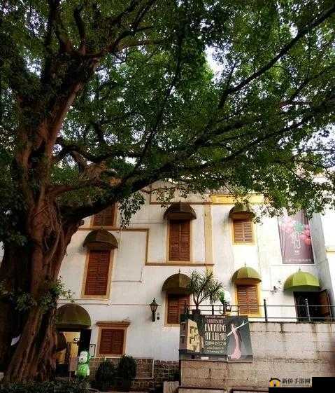 澳门怡春院首页：独特风情之地