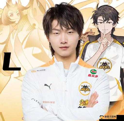 王者荣耀选手 fly 个人详细资料大揭秘